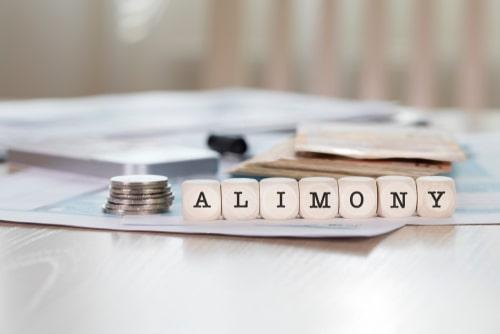 Kane County Alimony Lawyer